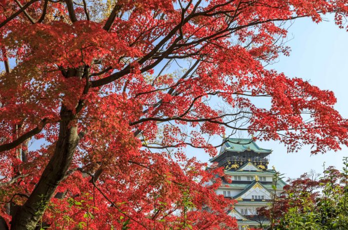 秋の大阪城　紅葉